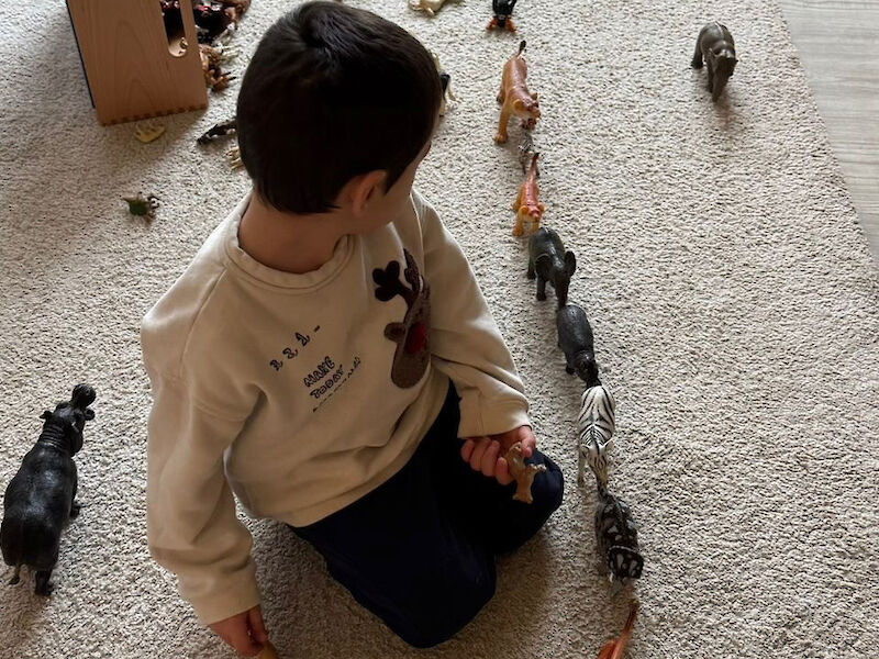 Literacy spielerisch in der Kita begleiten
